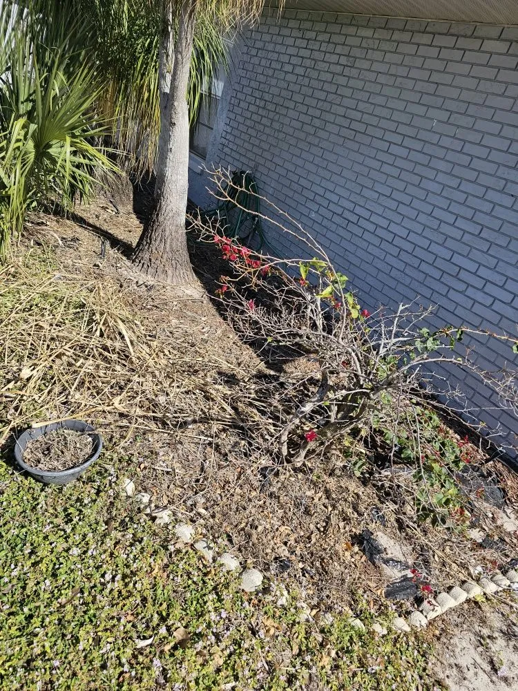 Expert outdoor landscaping experts serving Frostproof, FL - sunshine Landscaping Management