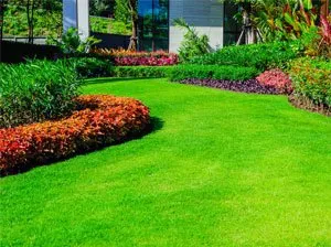 Trusted lawn care service with custom design across Murrells Inlet, SC - Sunshine Landscaping