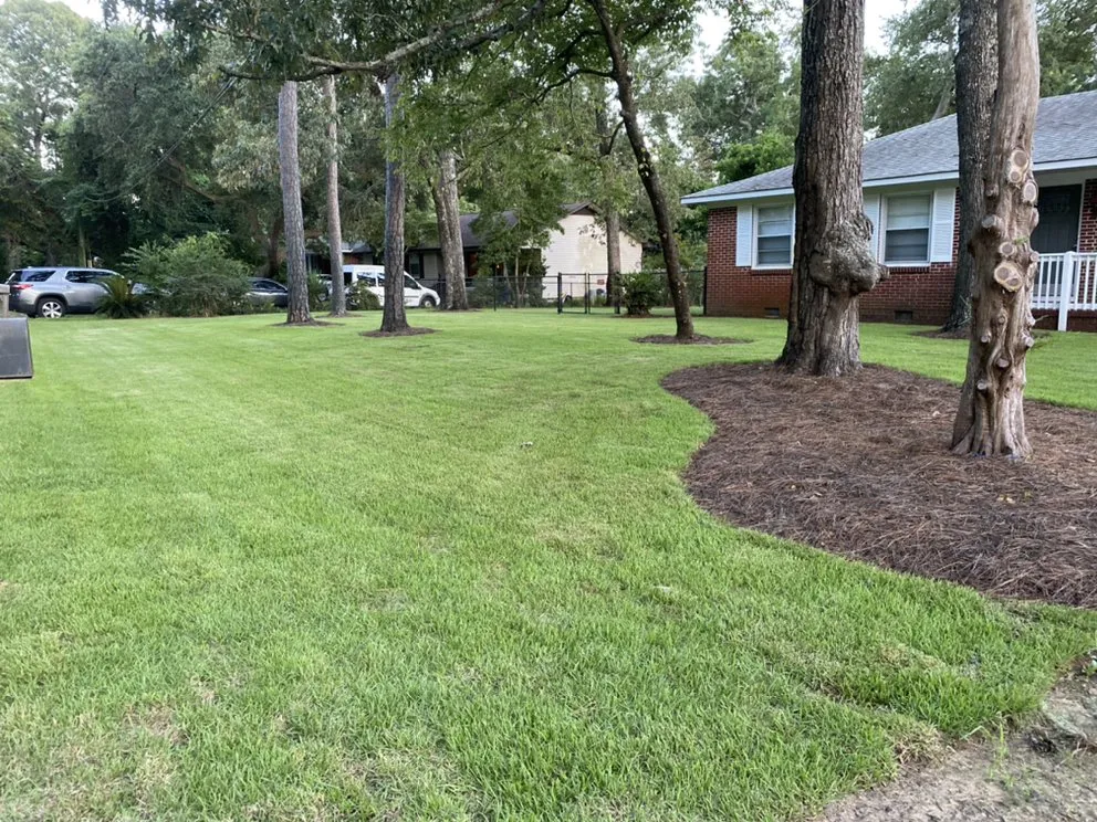 Reliable landscaping services for outdoor upgrades in Murrells Inlet, SC by Sunshine Landscaping