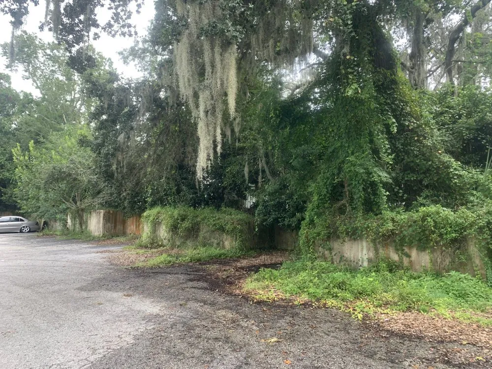 Trusted yard maintenance for beautiful yards across Tampa, FL - Sunshine Landscaping Plus