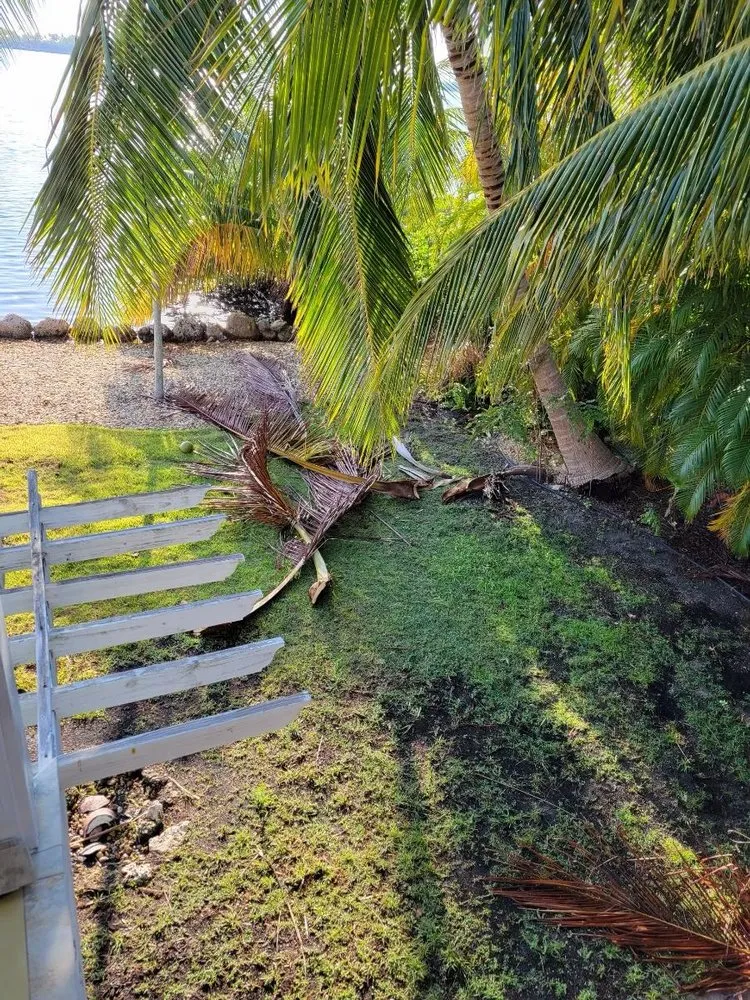 Custom garden landscaping experts serving Key West, FL - Sunshine Landscaping Solutions