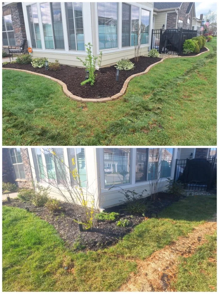 Reliable lawn care service in tulare, CA - Sunshine Landscaping