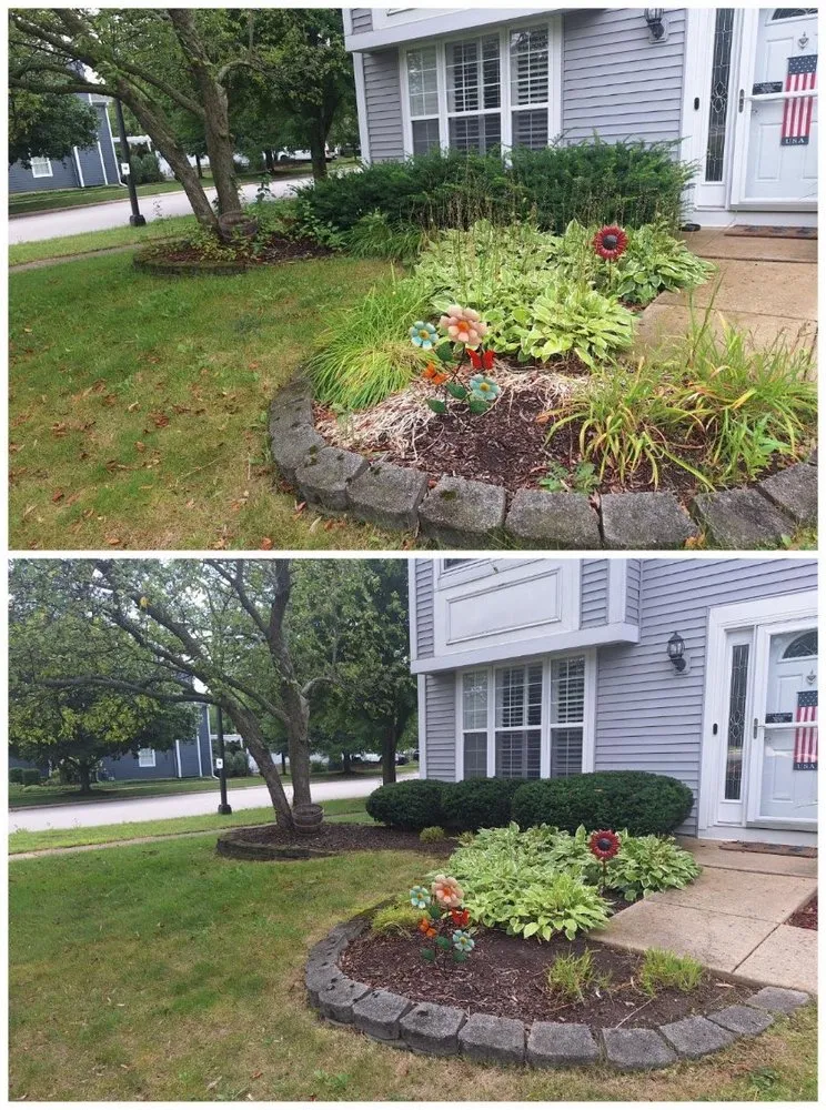 Custom yard maintenance for beautiful yards in tulare, CA by Sunshine Landscaping