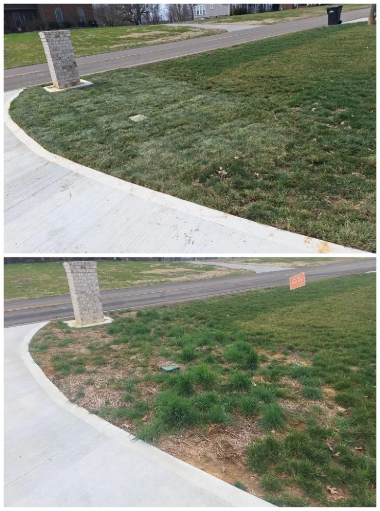 Professional lawn mowing service experts serving tulare, CA - Sunshine Landscaping