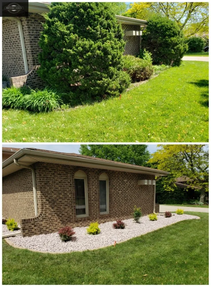 Professional yard cleanup service for year-round maintenance in tulare, CA by Sunshine Landscaping