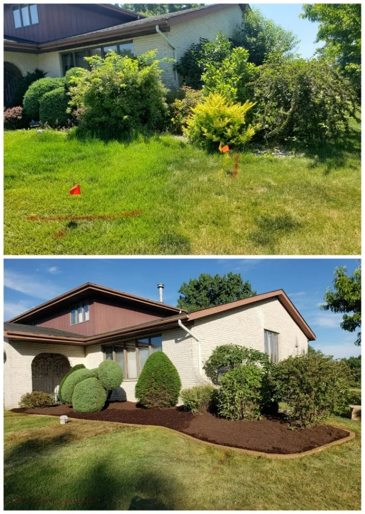Top-rated yard cleanup service in tulare, CA by Sunshine Landscaping