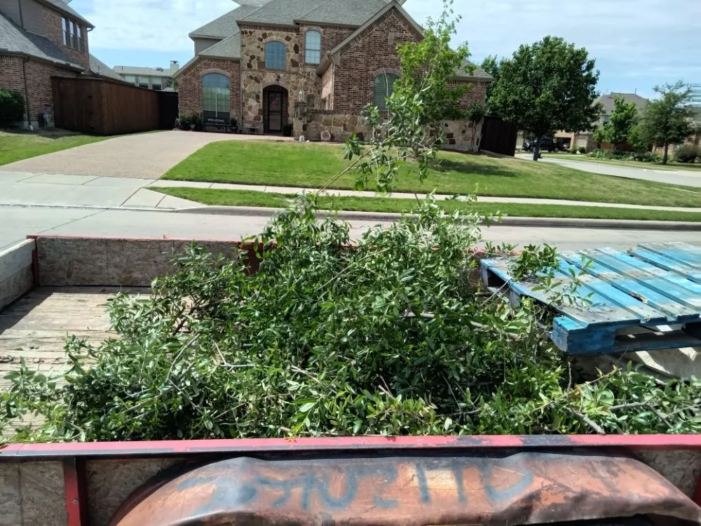 Local landscape installation in Wylie, TX - Sunshine Landscaping