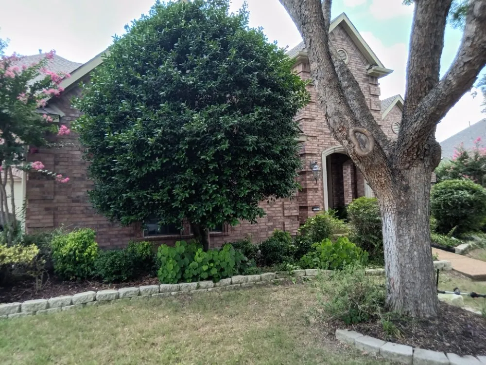 Top-rated yard cleanup service in Wylie, TX by Sunshine Landscaping