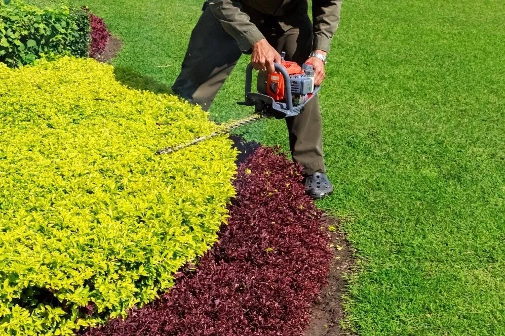 Trusted yard maintenance in Lyndhurst, NJ by Sunshine Lawn & Landscaping