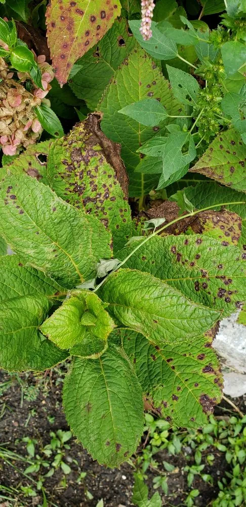 Reliable landscape design for residential properties in Lyndhurst, NJ by Sunshine Lawn & Landscaping