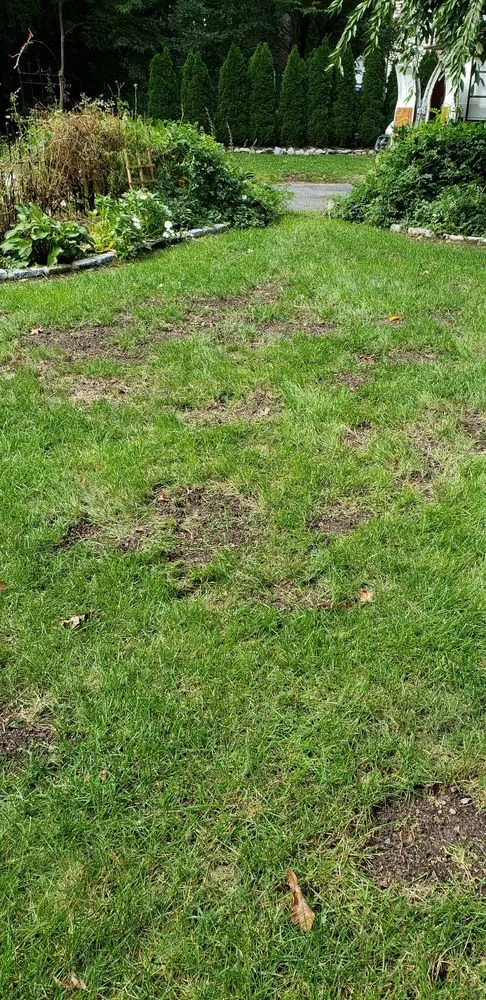 Reliable yard maintenance in Lyndhurst, NJ - Sunshine Lawn & Landscaping