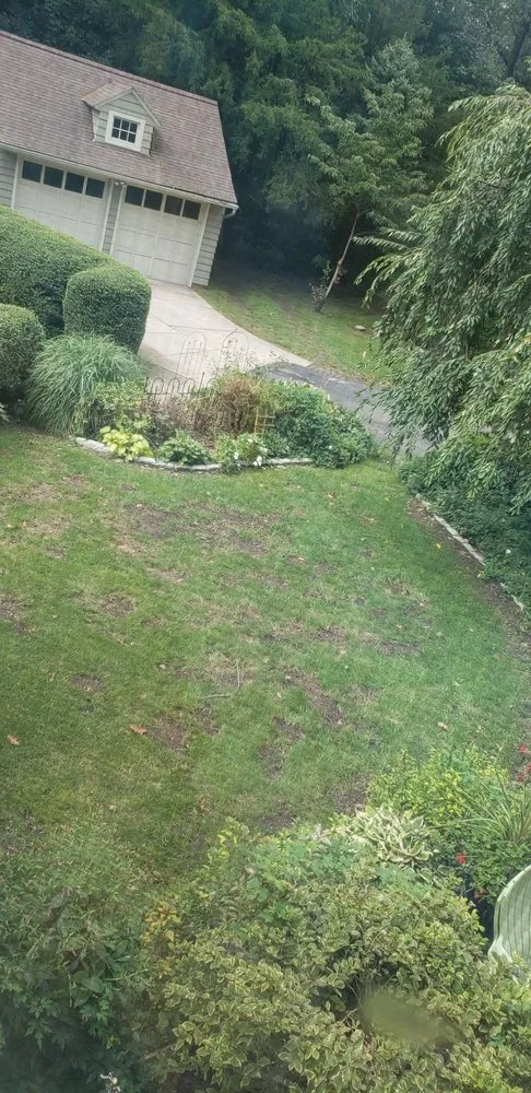 Top-rated yard cleanup service for residential properties across Lyndhurst, NJ - Sunshine Lawn & Landscaping