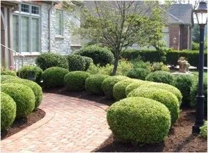 Top-rated garden landscaping experts serving Lyndhurst, NJ - Sunshine Lawn & Landscaping