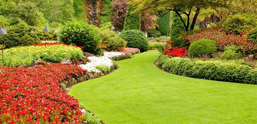 Local yard cleanup service in Lyndhurst, NJ - Sunshine Lawn & Landscaping