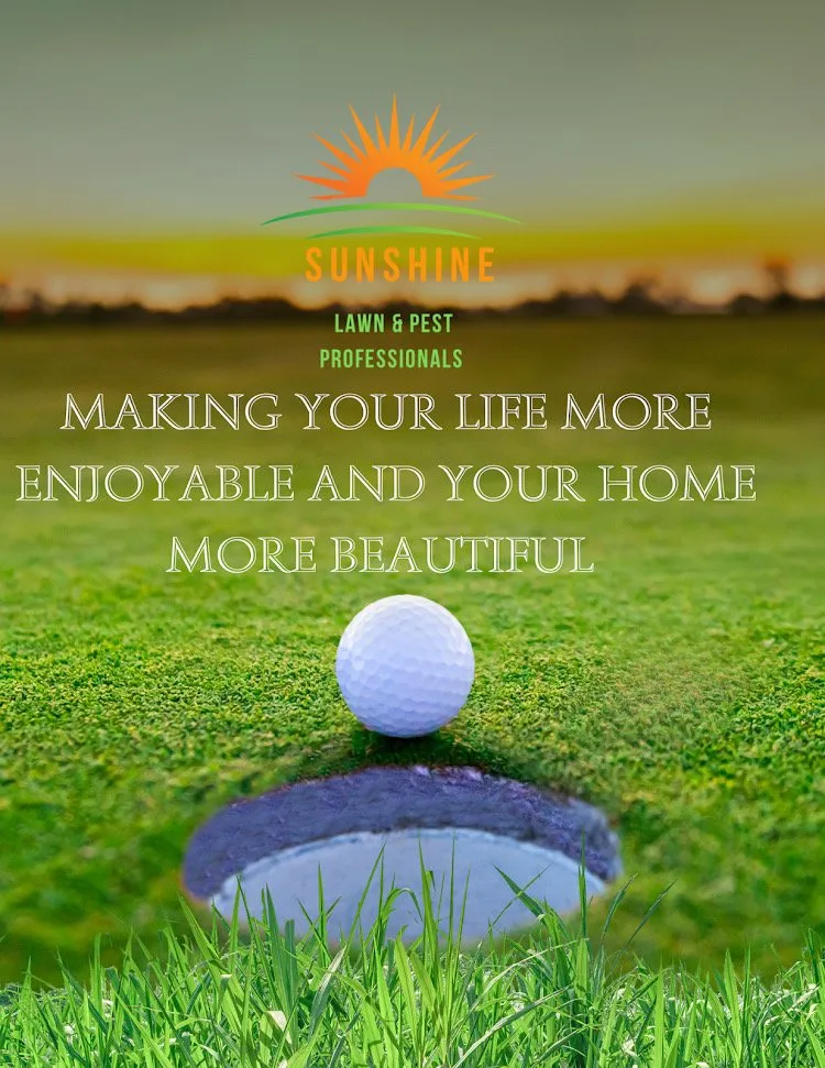 Affordable garden landscaping for year-round maintenance in Greenville, OH by Sunshine Lawn & Pest Professionals