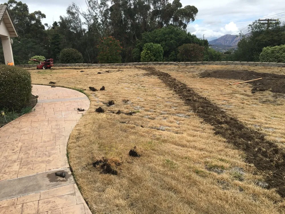 Local outdoor landscaping for beautiful yards across Alpine, CA - Sunshine Lawn and Garden Services