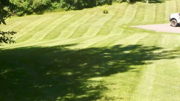 Sunshine Lawn and Landscape