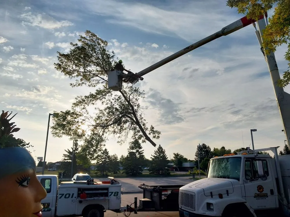 Custom landscape installation in Grand Forks, ND by Sunshine Lawn Care