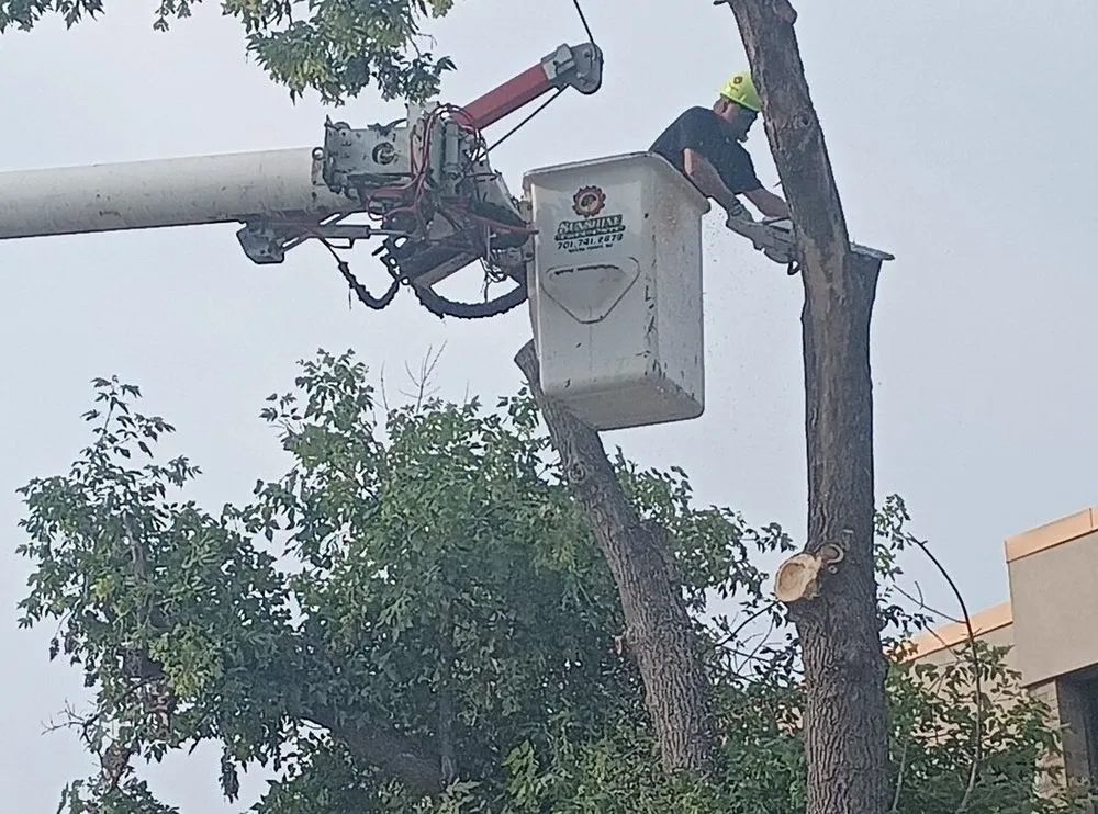 Custom landscape installation in Grand Forks, ND by Sunshine Lawn Care