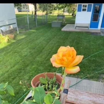 Local yard cleanup service for year-round maintenance in Grand Forks, ND by Sunshine Lawn Care