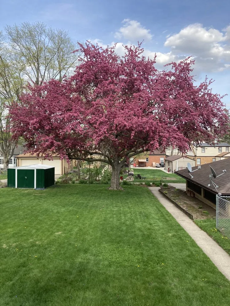 Reliable outdoor landscaping near you in Rockford, IL by Sunshine Lawn Care