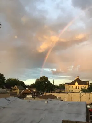 Sunshine Lawn Care Logo