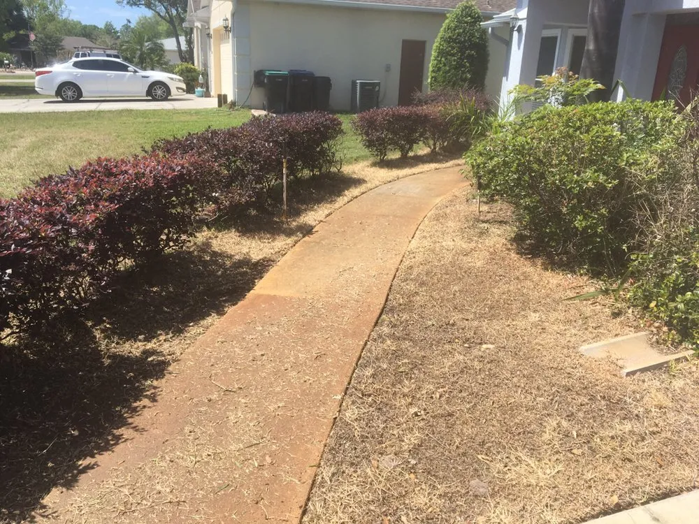 Professional garden landscaping for year-round maintenance in Winter Park, FL by Sunshine Lawn Services & Maintenance