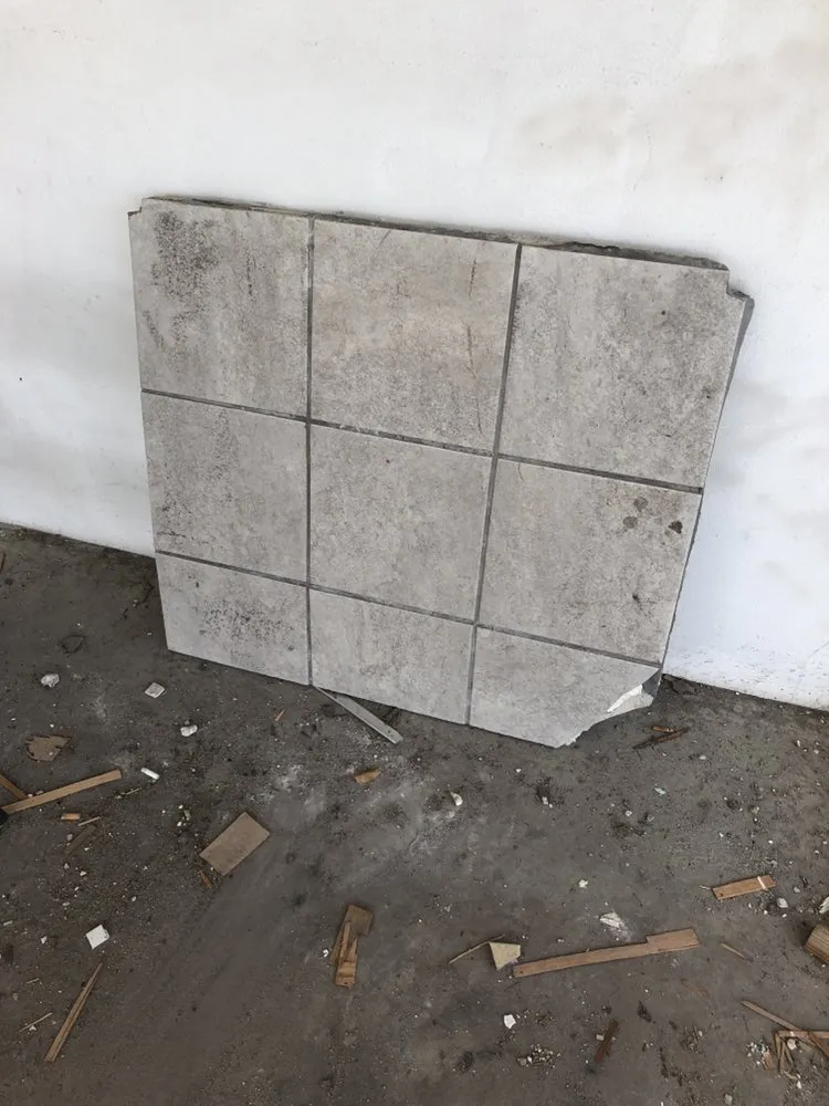 Affordable yard cleanup service experts serving Winter Park, FL - Sunshine Lawn Services & Maintenance