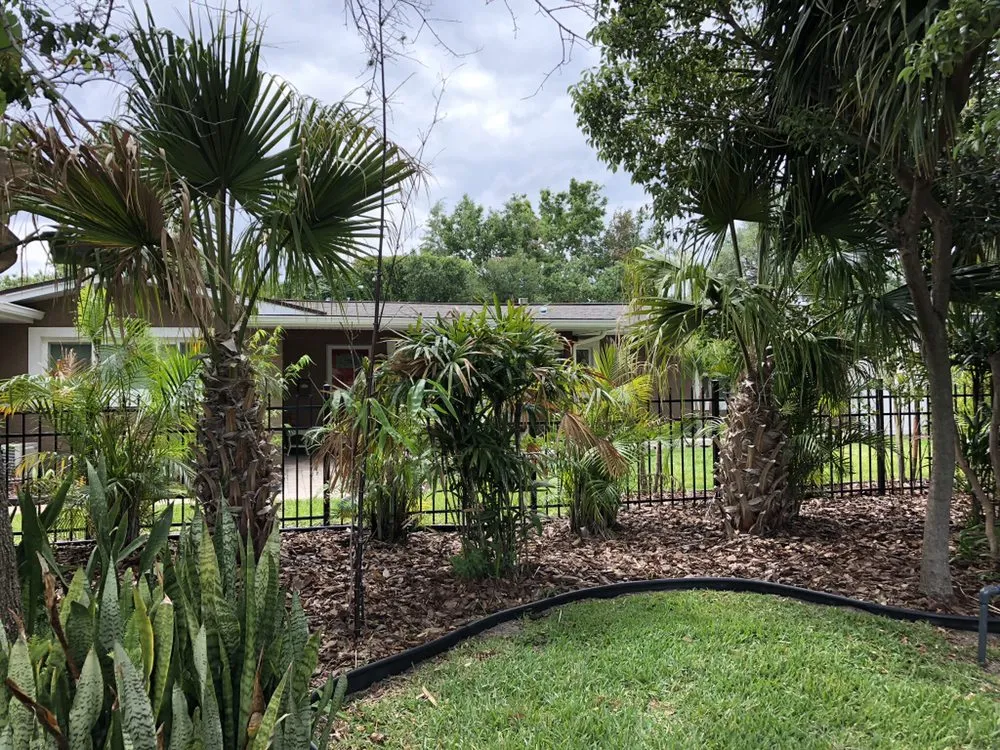 Trusted lawn care service experts serving Winter Park, FL - Sunshine Lawn Services & Maintenance