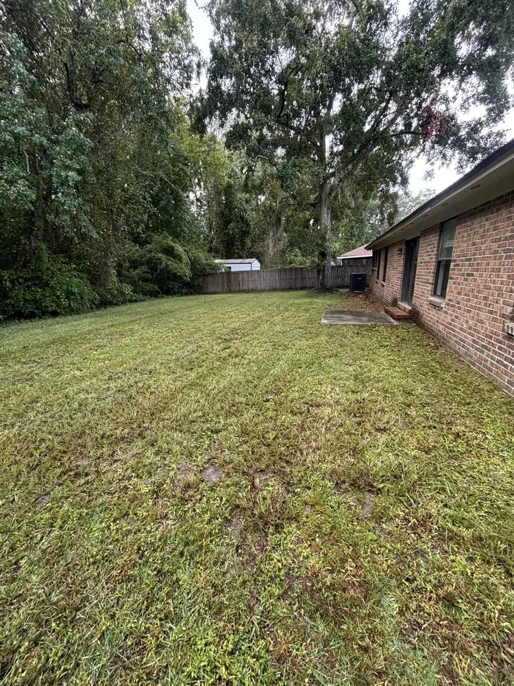 Local landscape installation in Middleburg, FL - Sunshine Lawn Solutions