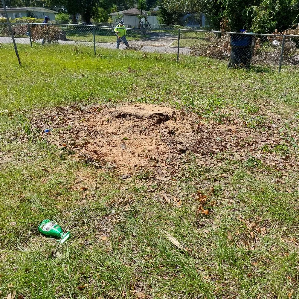 Local landscaping services in Ocoee, FL by Sunshine Pro Lawn Care