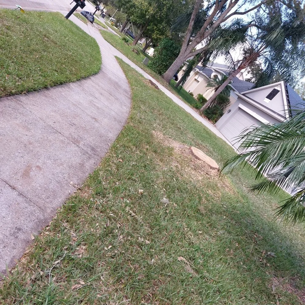 Trusted landscaping services in Ocoee, FL - Sunshine Pro Lawn Care