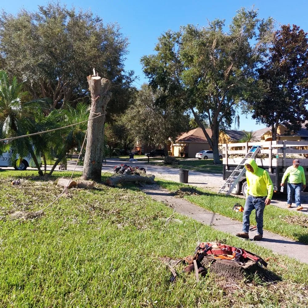 Custom lawn mowing service in Ocoee, FL - Sunshine Pro Lawn Care