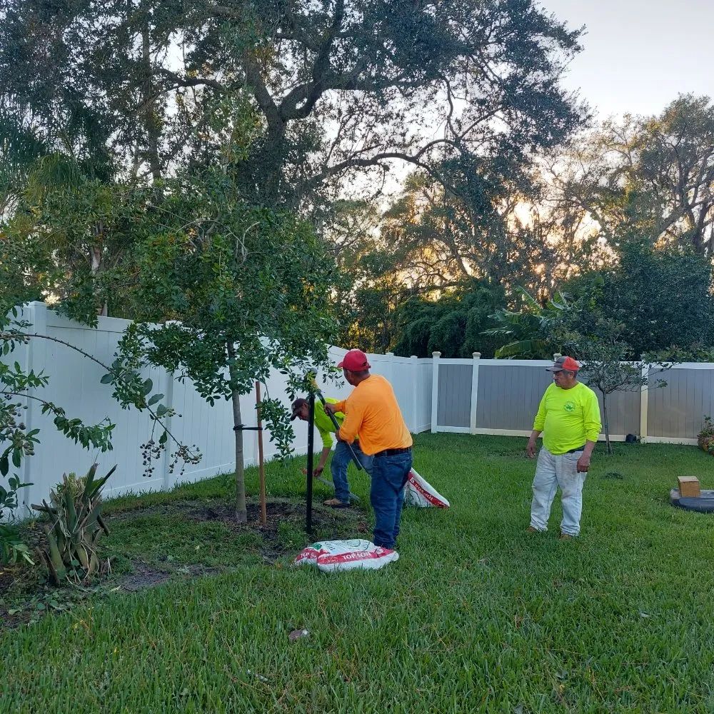 Trusted landscape installation with custom design across Ocoee, FL - Sunshine Pro Lawn Care