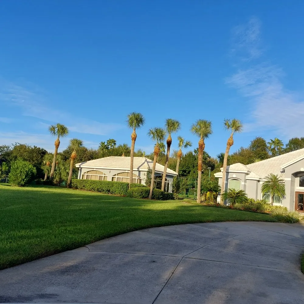 Professional landscaping services in Ocoee, FL by Sunshine Pro Lawn Care