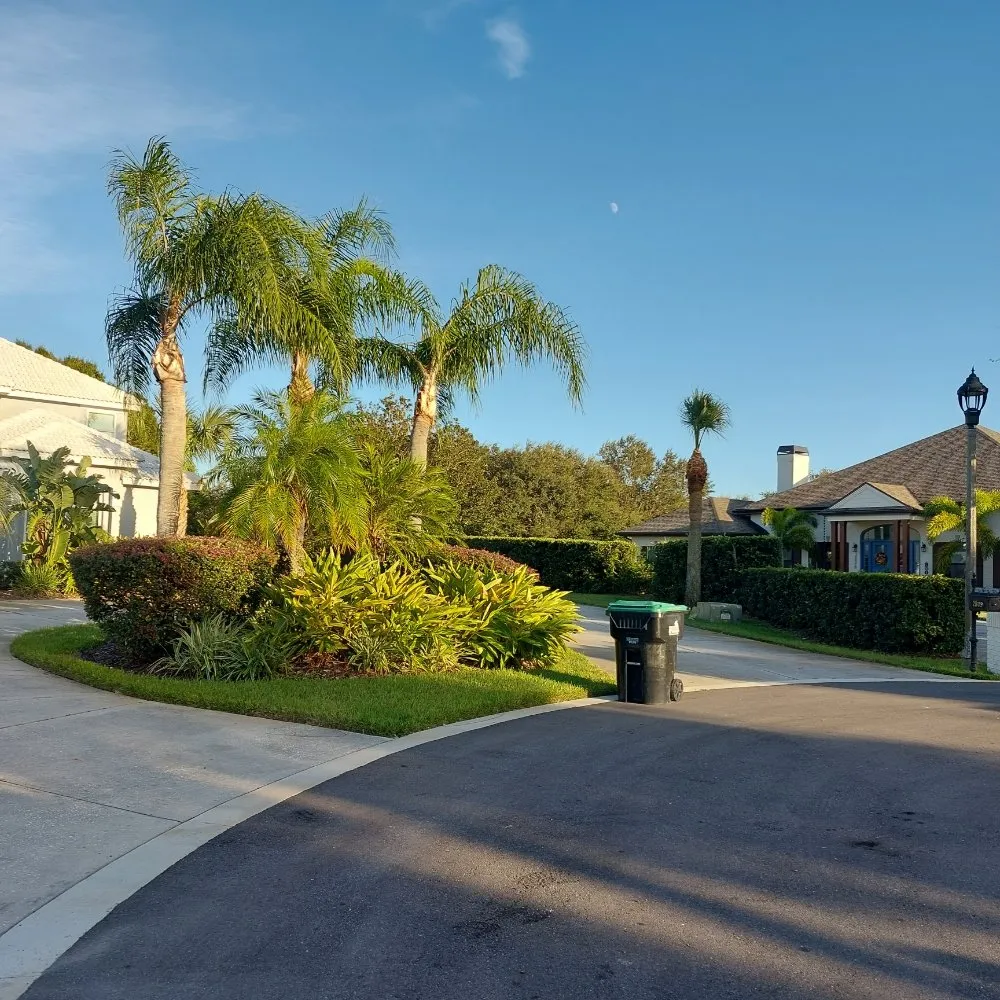 Trusted landscape design for year-round maintenance across Ocoee, FL - Sunshine Pro Lawn Care