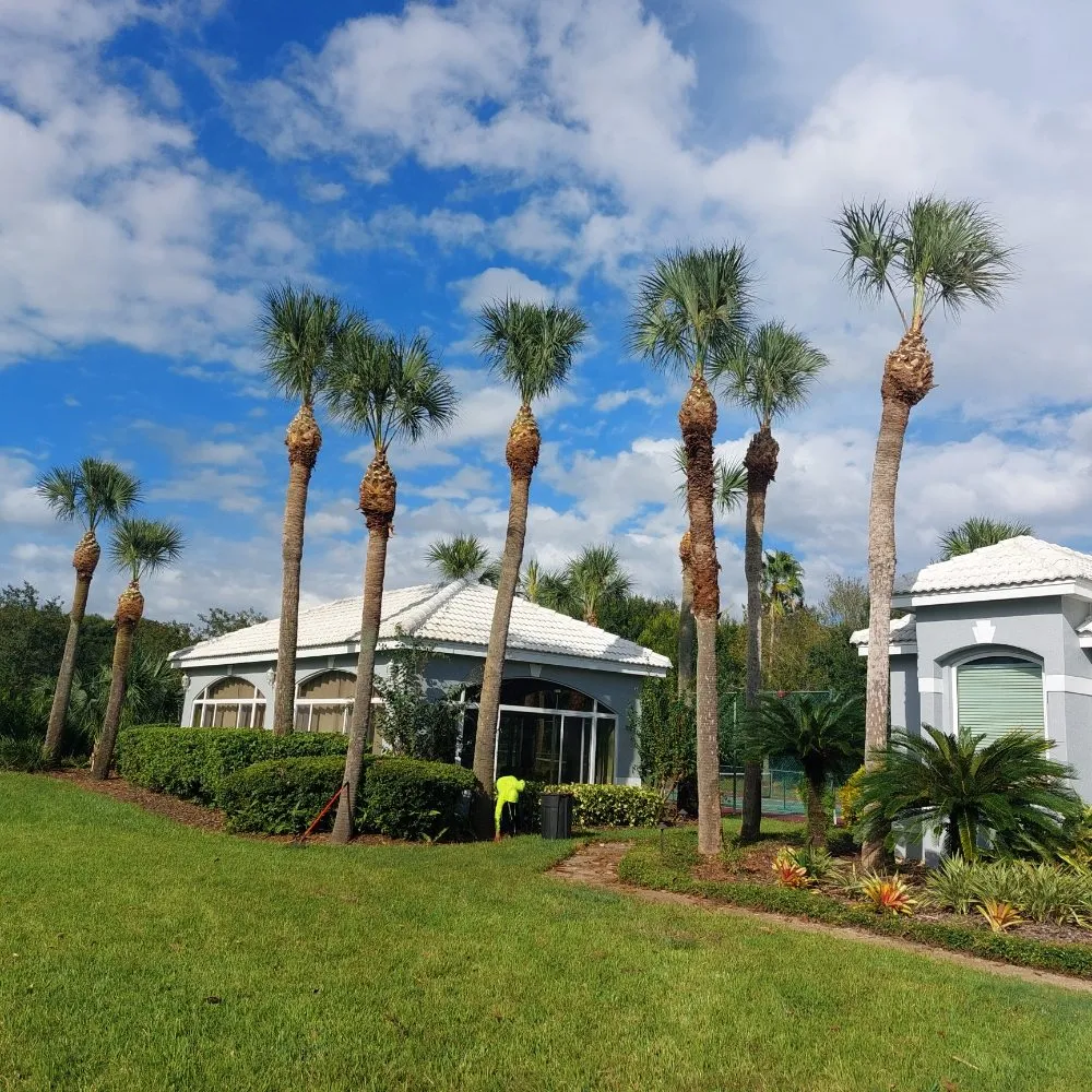 Reliable yard cleanup service in Ocoee, FL by Sunshine Pro Lawn Care