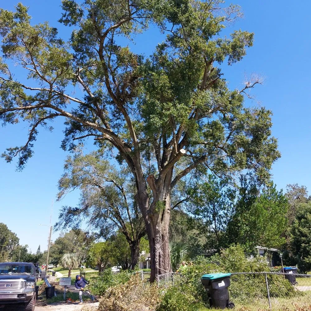 Local lawn care service in Ocoee, FL by Sunshine Pro Lawn Care