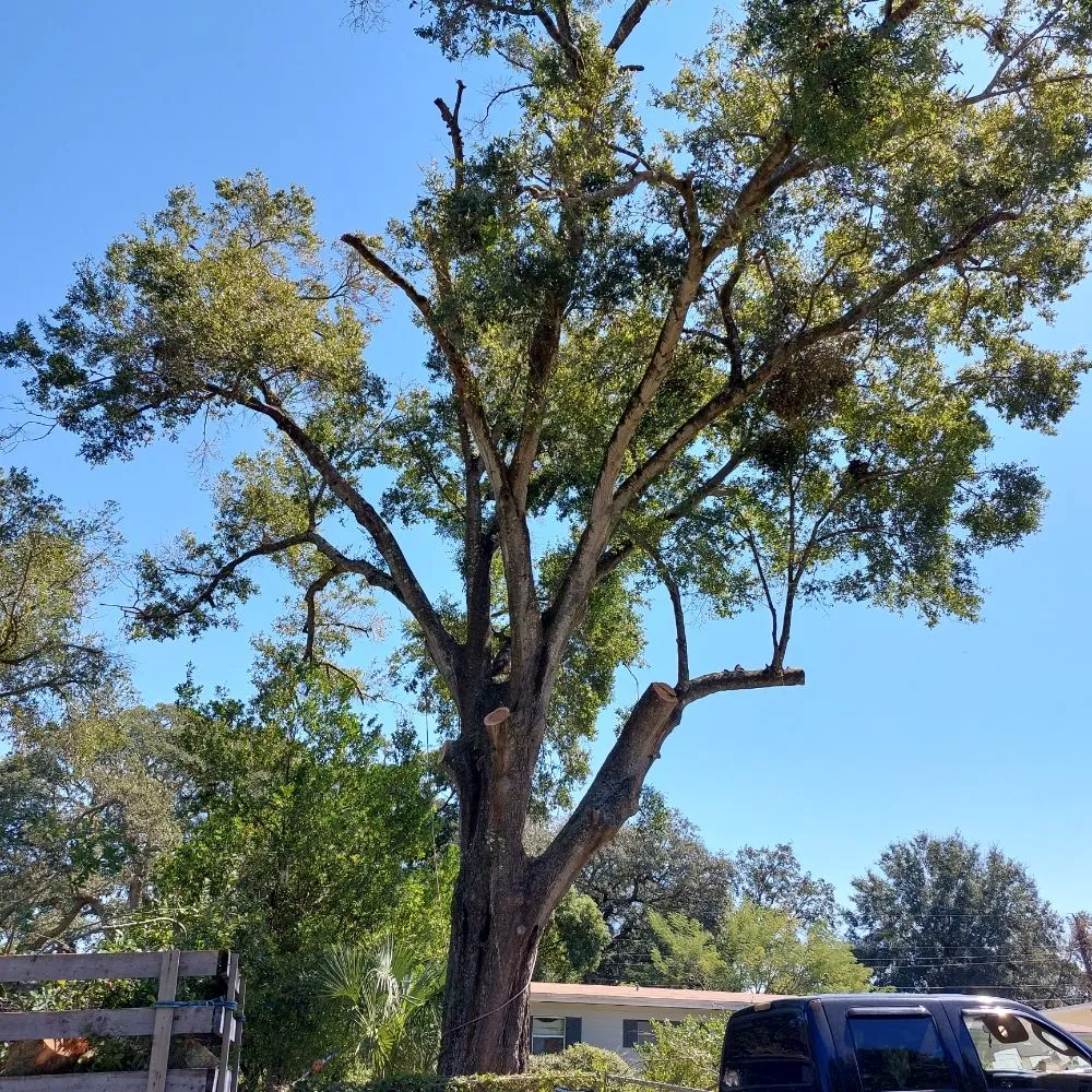 Affordable outdoor landscaping in Ocoee, FL - Sunshine Pro Lawn Care