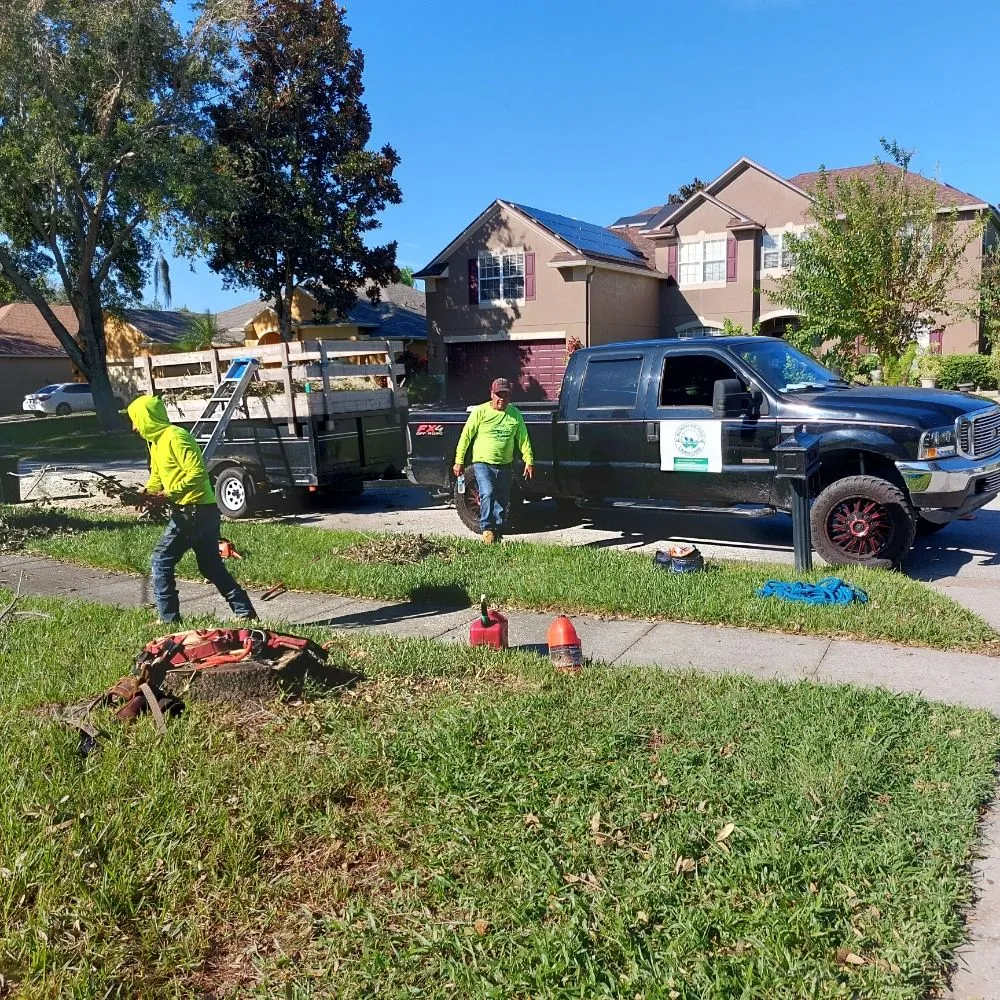 Affordable lawn care service in Ocoee, FL - Sunshine Pro Lawn Care