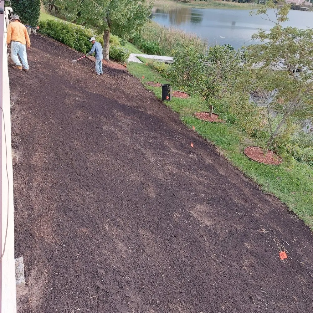 Custom landscaping services for residential properties across Ocoee, FL - Sunshine Pro Lawn Care
