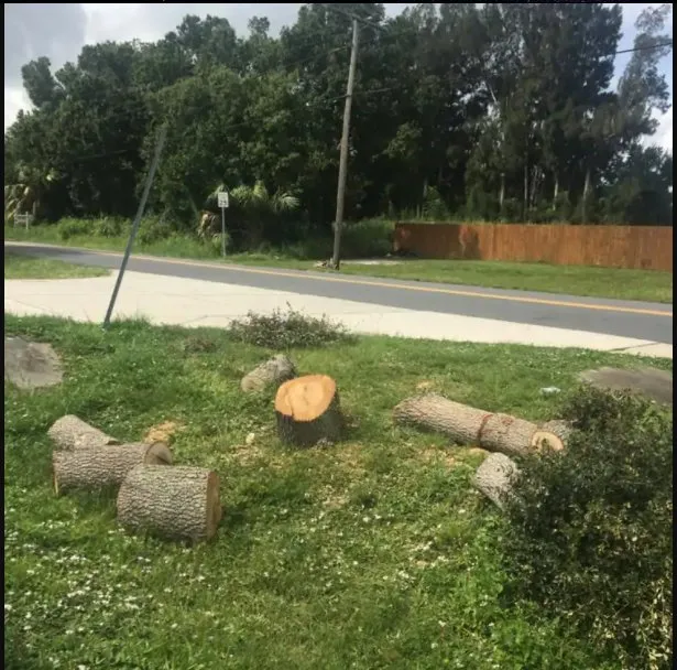 Top-rated garden landscaping experts serving Palm Bay, FL - Sunshine Quality Lawn Service