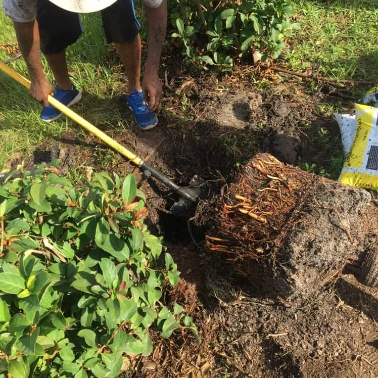 Expert landscaping services experts serving Palm Bay, FL - Sunshine Quality Lawn Service