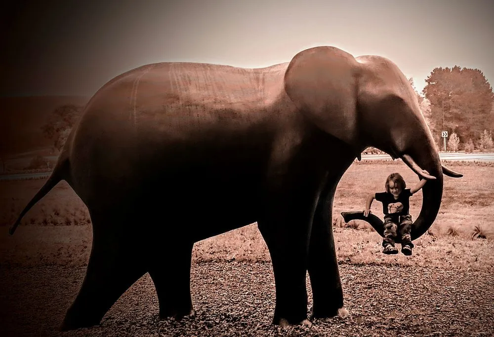 Affordable outdoor landscaping in Horse Shoe, NC - Sunshine Services