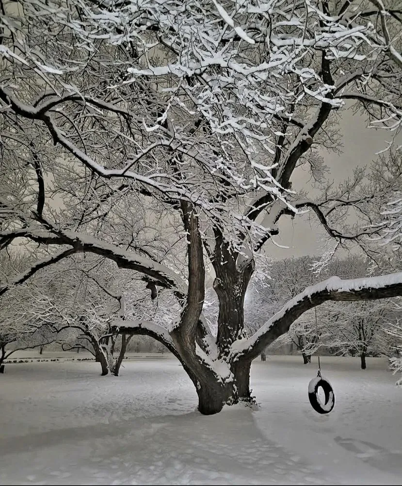 Reliable landscape installation in Horse Shoe, NC by Sunshine Services