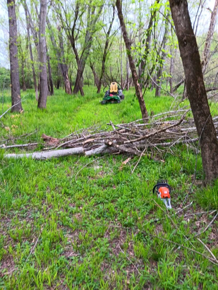 Expert outdoor landscaping near you in Horse Shoe, NC by Sunshine Services