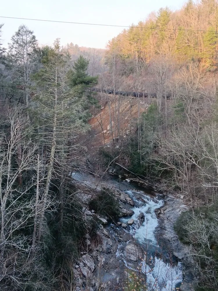 Expert lawn care service in Horse Shoe, NC - Sunshine Services