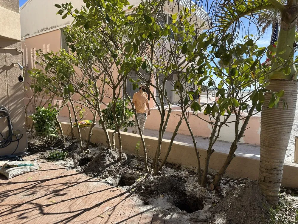 Local garden landscaping for beautiful yards in Oldsmar, FL by Sunshine Services