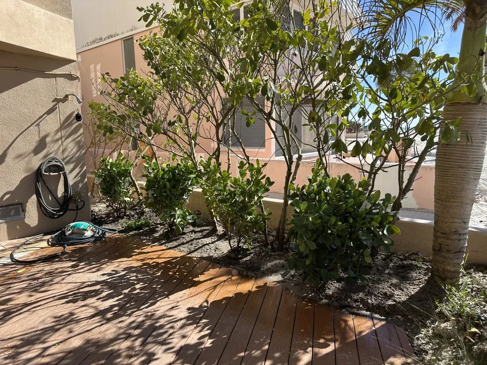 Top-rated yard cleanup service experts serving Oldsmar, FL - Sunshine Services