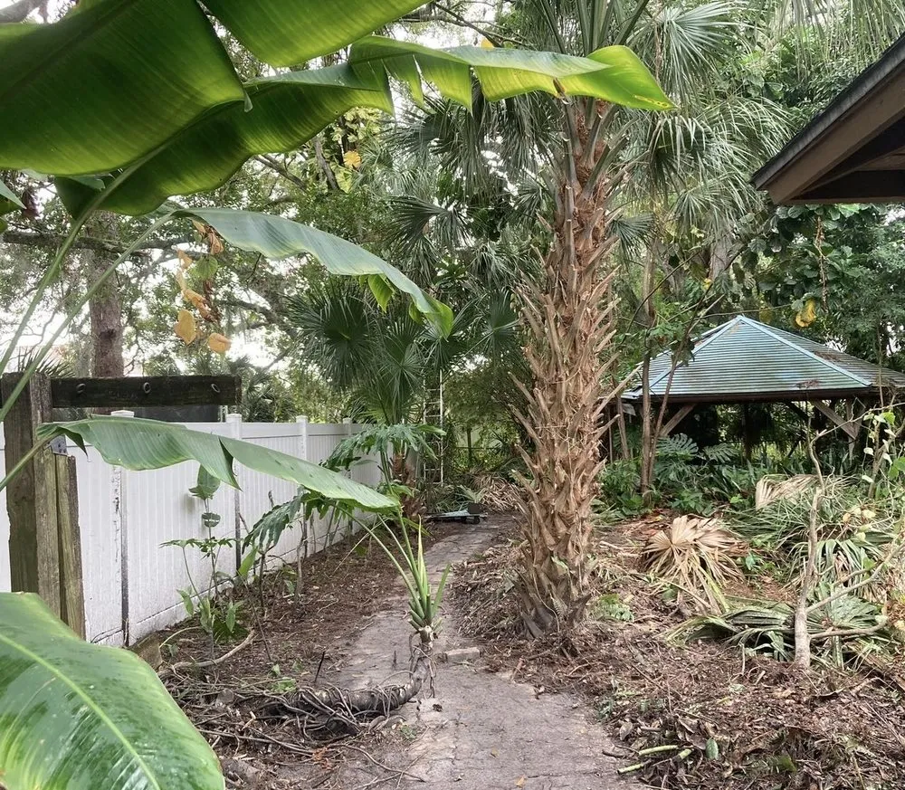 Local landscape design experts serving Oldsmar, FL - Sunshine Services